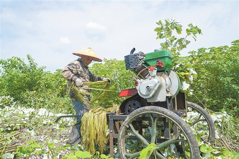 江西：特色产业助农增收（图）