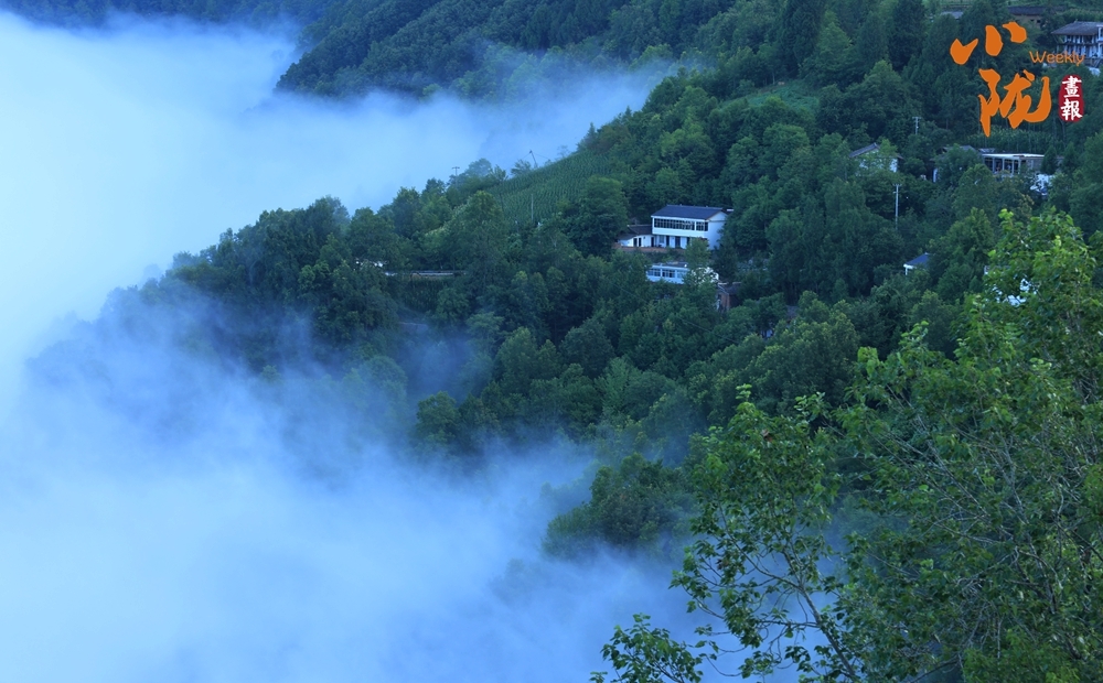 康县云海图片