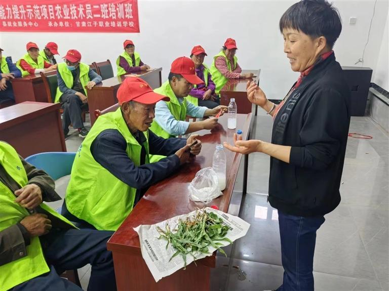 开展技能培训提升农民致富能力