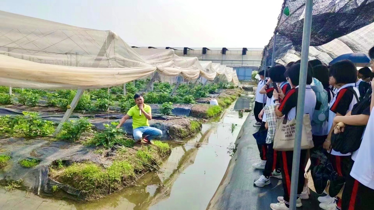 在农场开展研学活动的学生