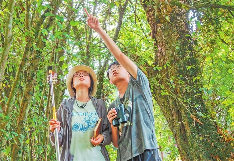 7月9日，婺源縣太白鎮(zhèn)曹門村，兩名江西農業(yè)大學學生正在野外尋找藍冠噪鹛并對它們進行觀察記錄。