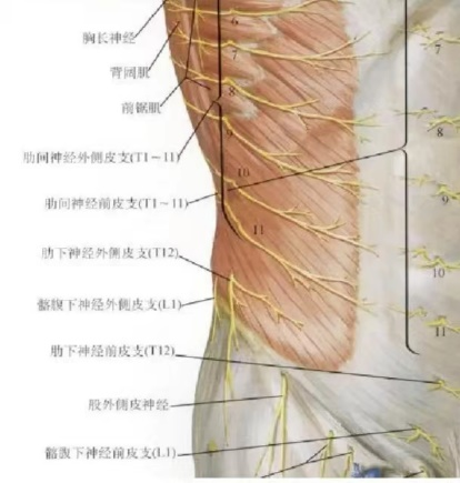 腹横筋膜阻滞用于剖宫产后镇痛的优势