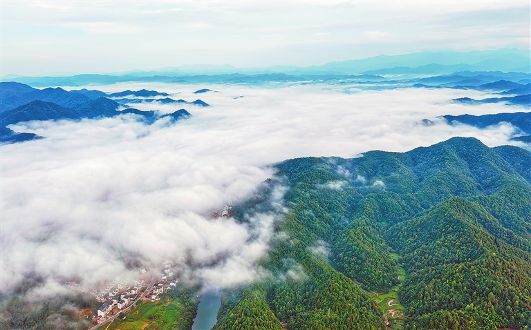 7月9日，婺源縣秋口鎮(zhèn)上空出現平流霧，民居掩映其中，美麗壯觀。當地良好的生態(tài)環(huán)境，是吸引藍冠噪鹛每年夏天到這里筑巢繁殖的重要原因。