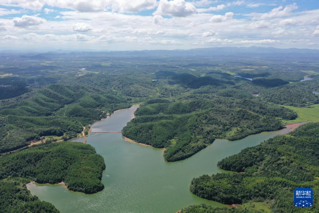 这是江西省抚州市临川区秋溪镇溪山湖水库（7月25日摄，无人机照片）。