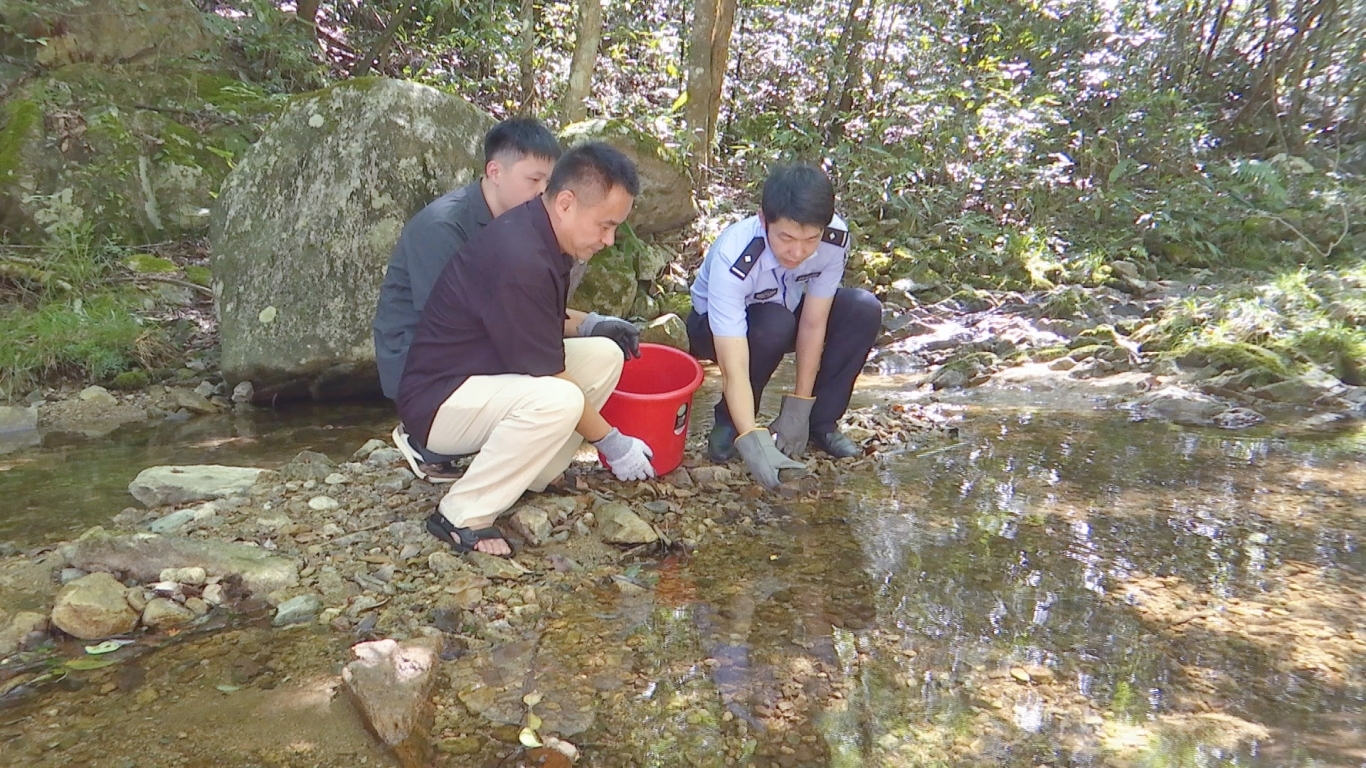 240724放生野生动物 (1).jpg