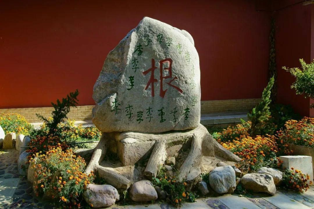 图片来源|资料图