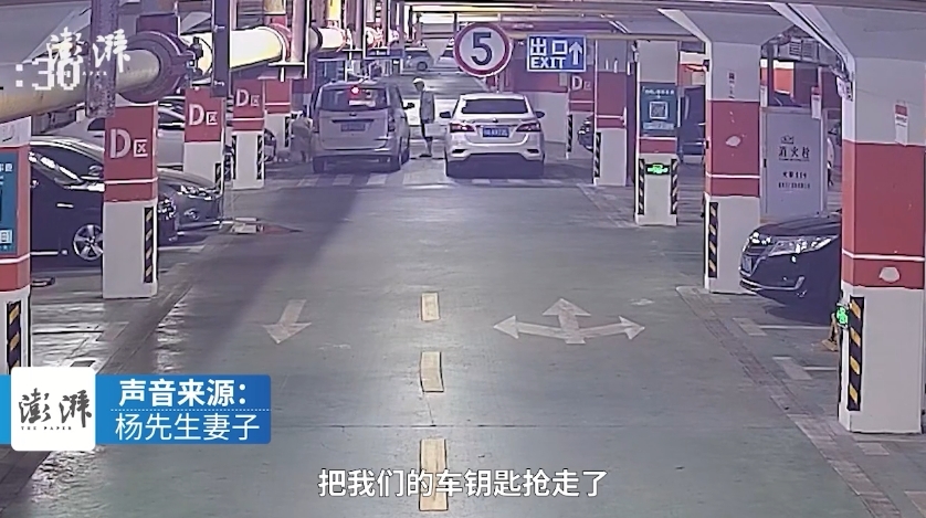 未拴绳狗遭碾压女主人砸车打人 警方：若回武汉会传唤