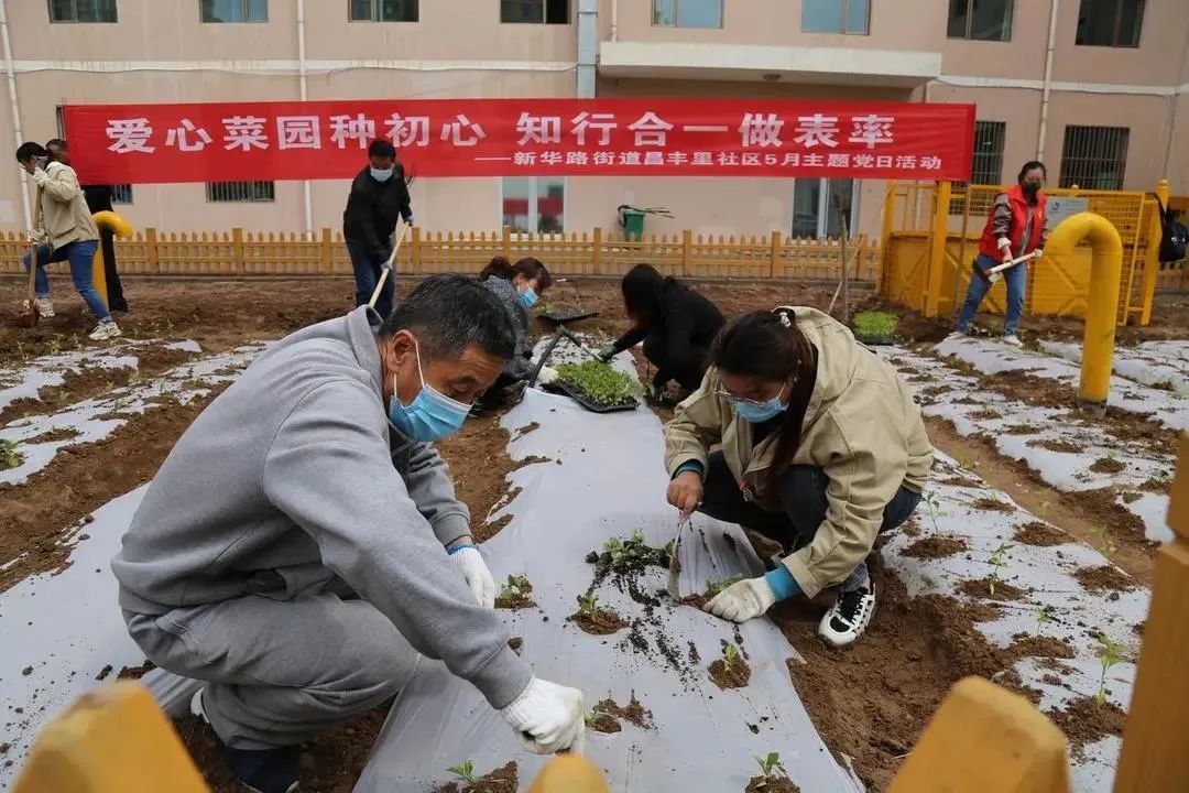 △在昌丰里社区的“爱心菜园”，党员们正在进行蔬菜种植。（资料图）