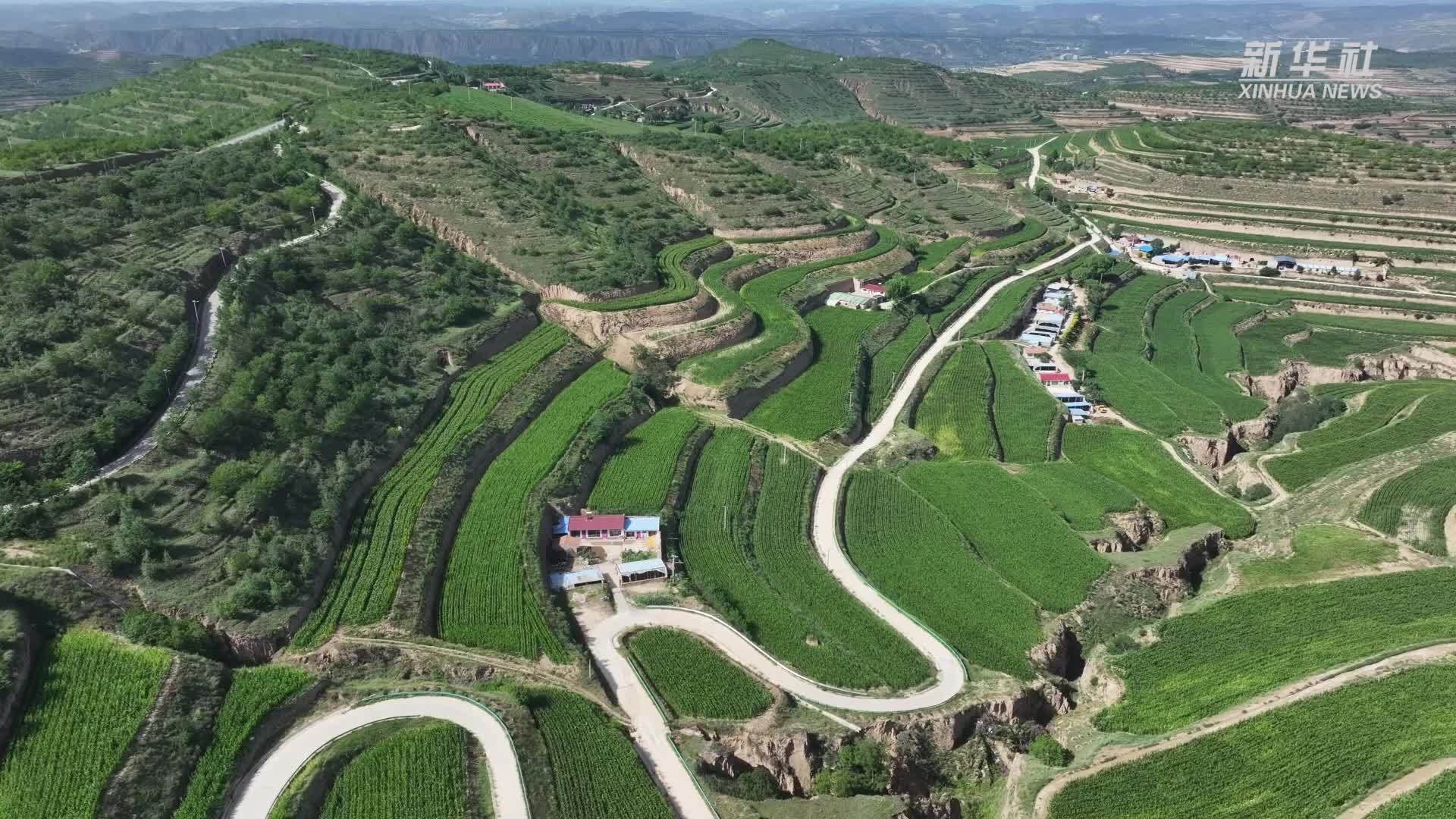 “四好农村路”串起塞上和美乡村