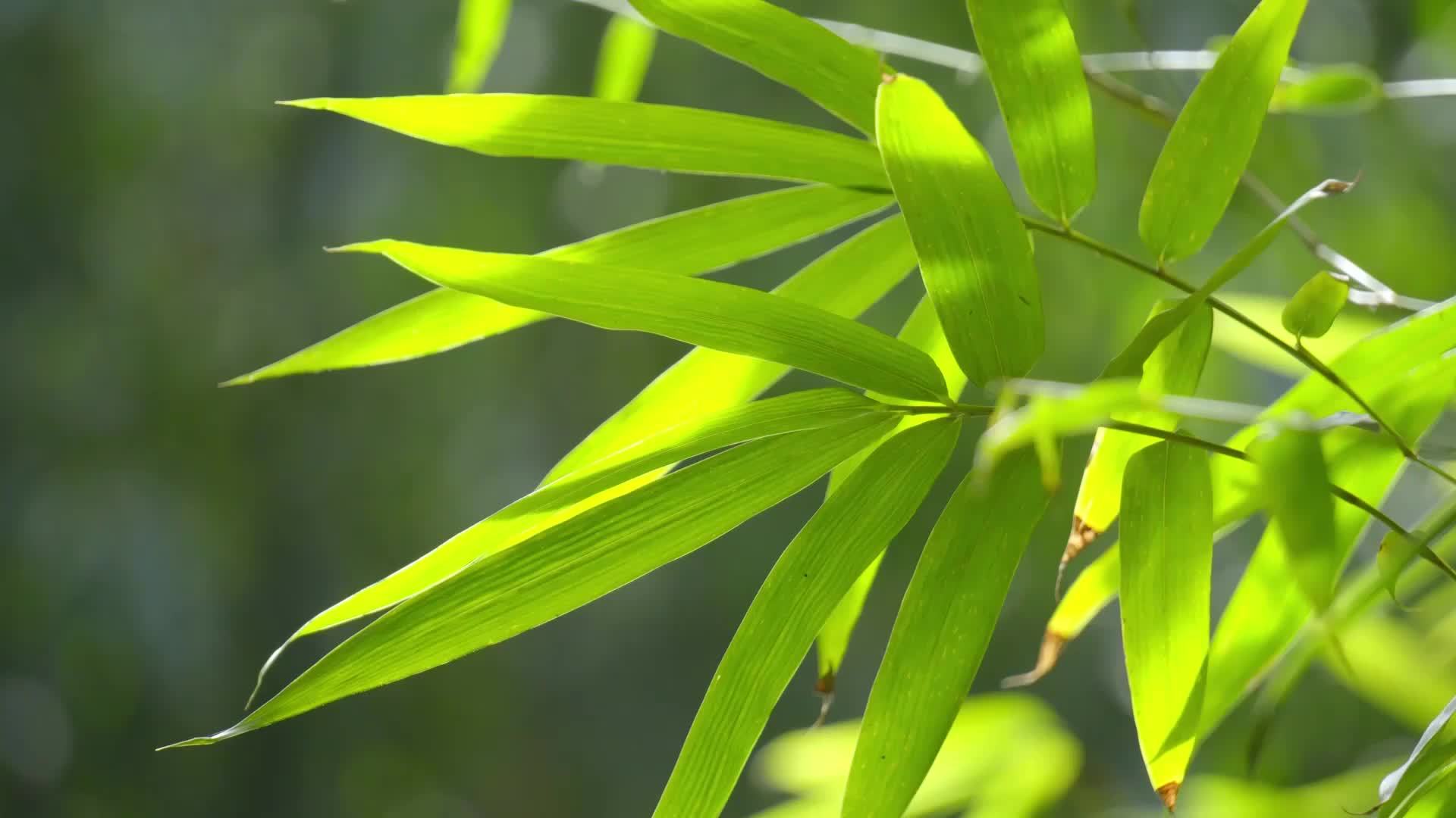 “过度防晒”造就脆皮青年，有这么可怕吗？