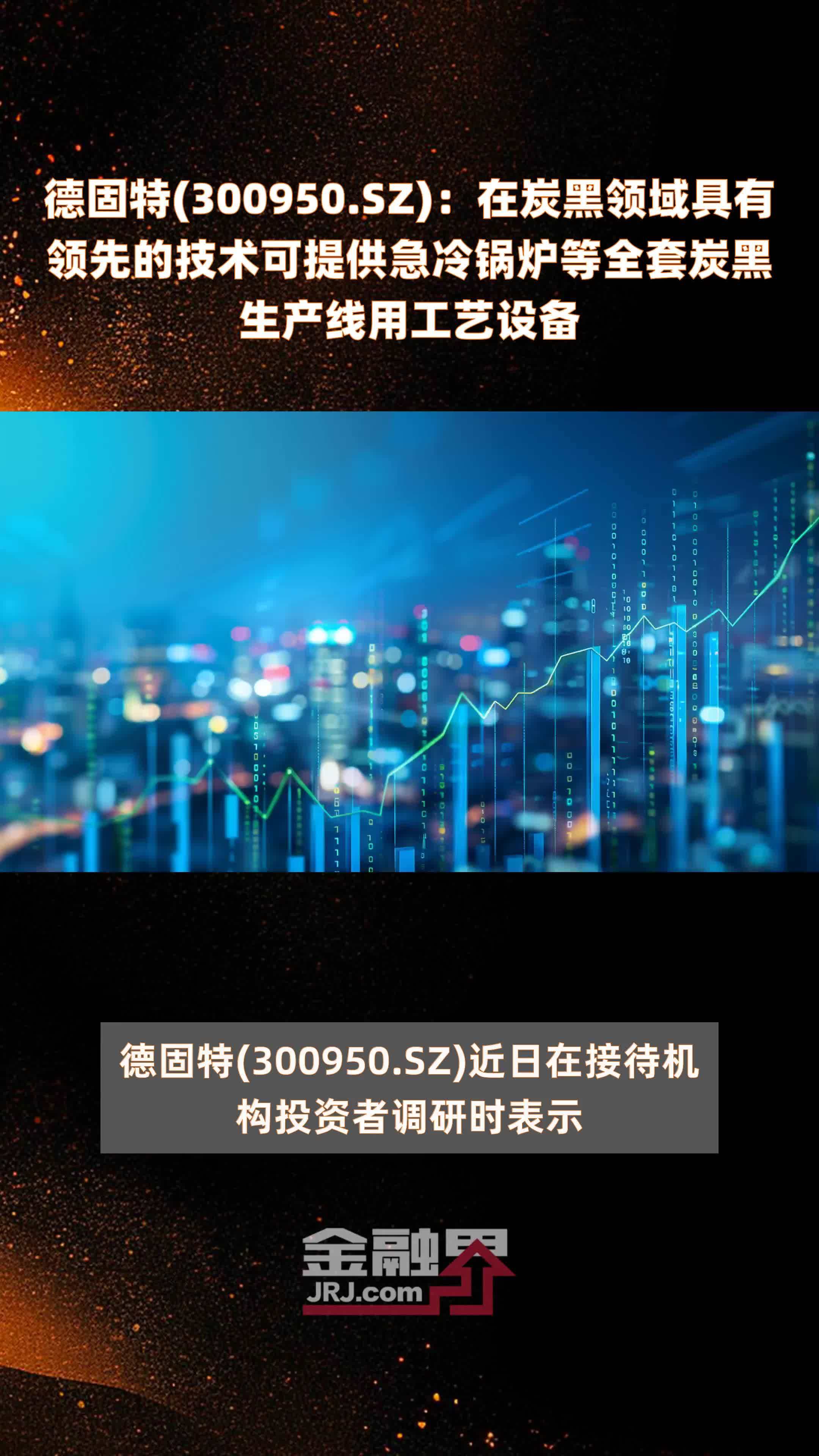 德固特300950图片