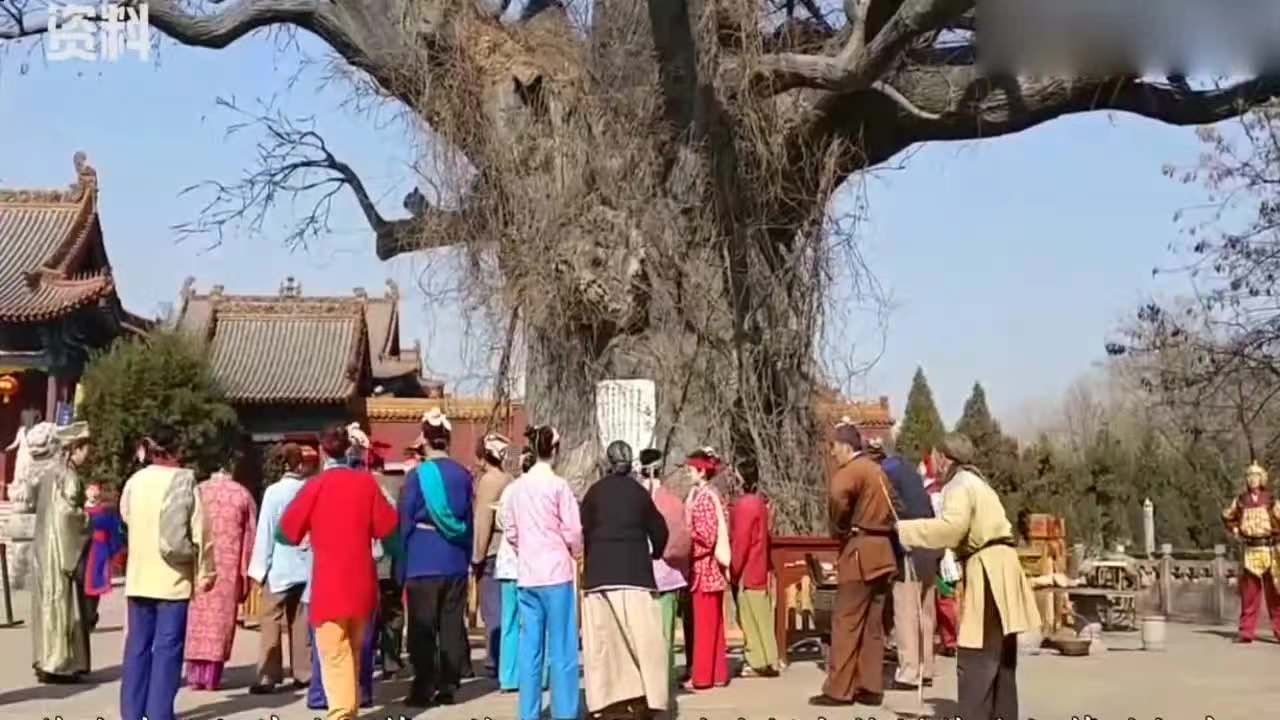 图片来源于网络