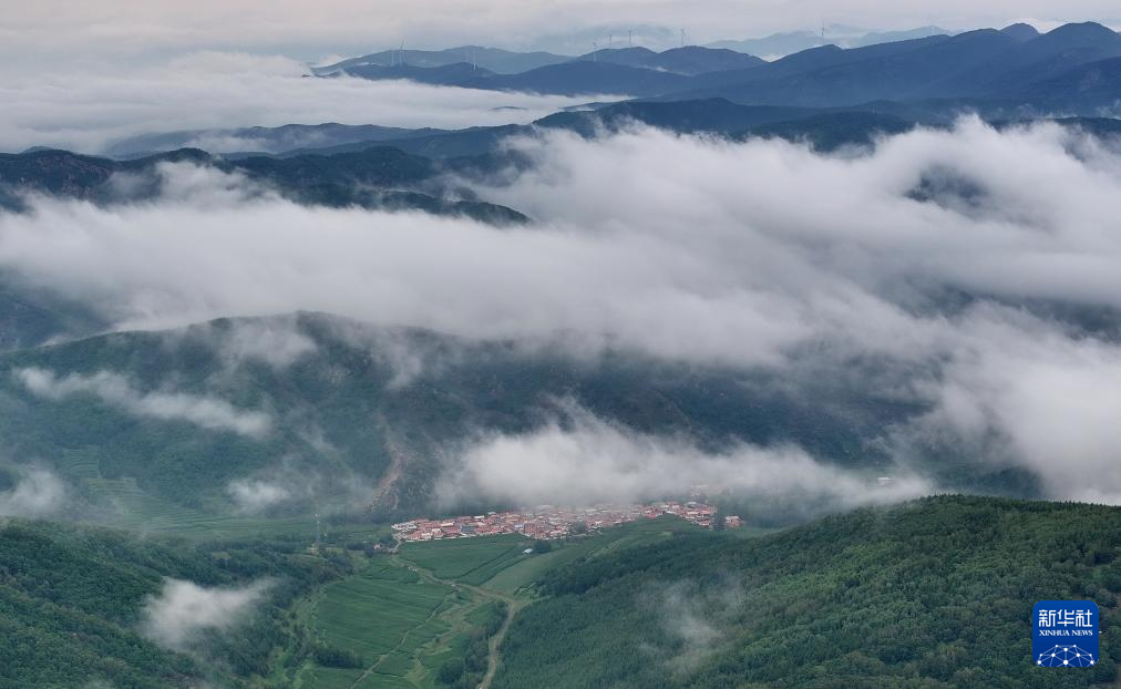 7月25日拍摄的河北省隆化县的茅荆坝国家森林公园云海景色(无人机照片)。