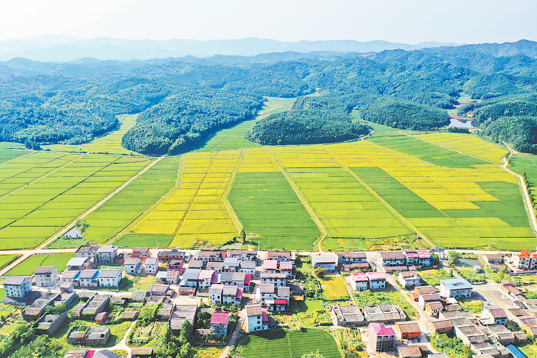 金溪县:田园风光(图)