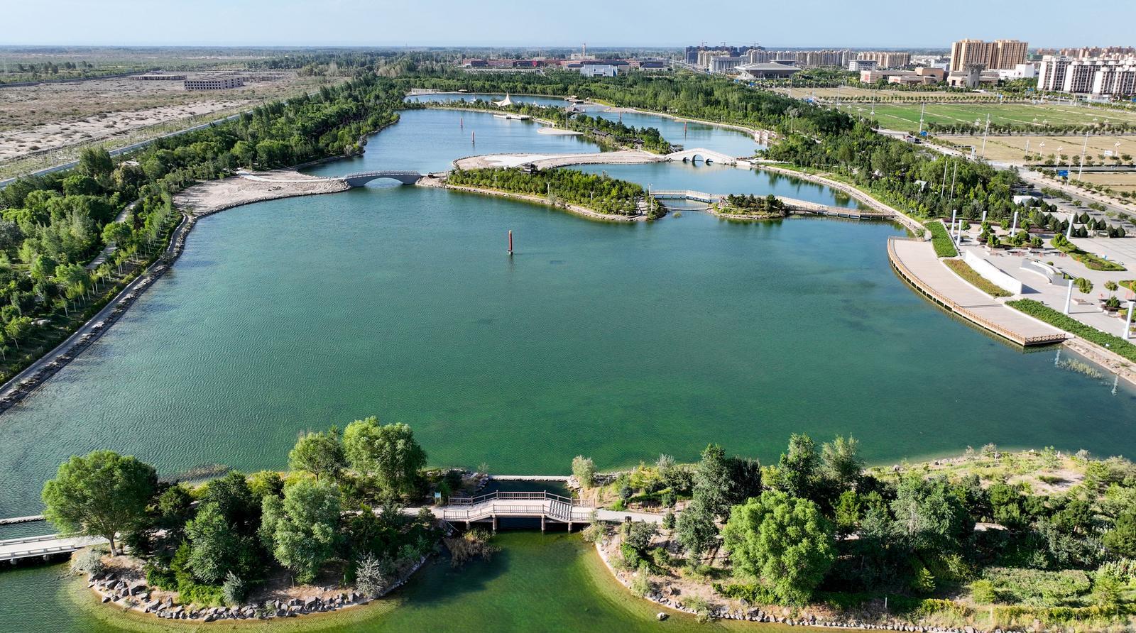 遇见金塔最美戈壁水乡　一眼就心动