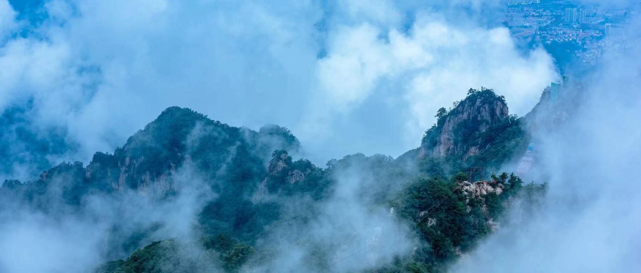 （摄影：任红兵 地点：栾川·老君山）