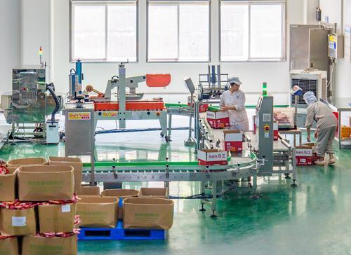 7月24日，涪陵榨菜集团，榨菜产品正在装箱。记者 李雨恒 摄