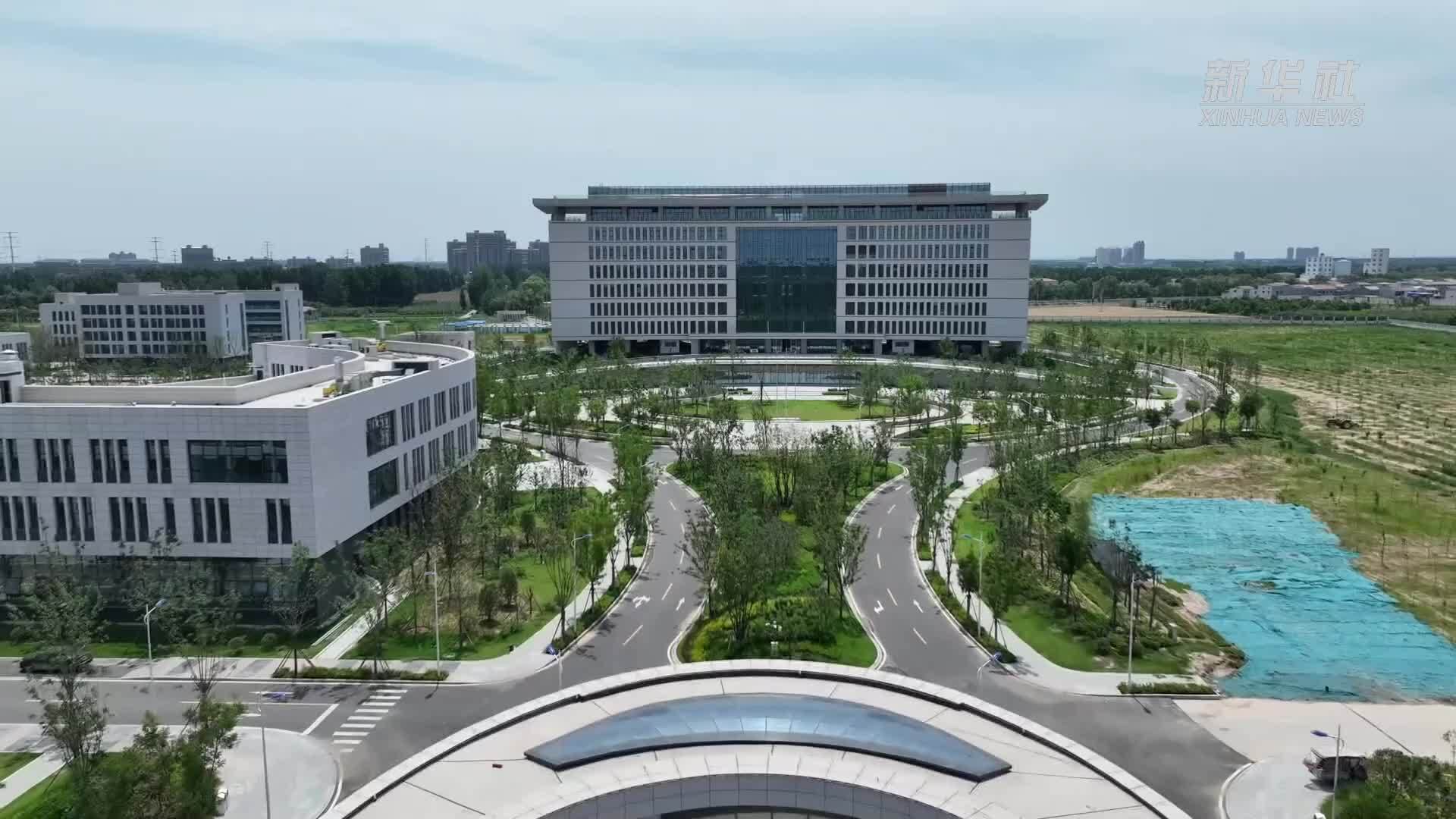 锚定现代化 改革再深化｜种子有“芯片”中原农谷打造种业创新高地