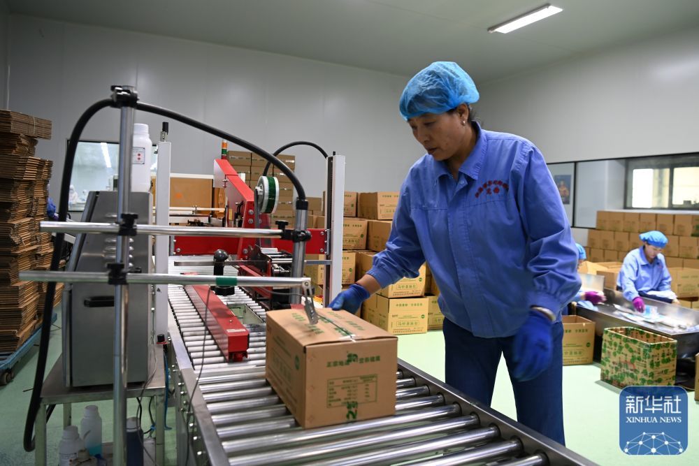 7月24日，在定西市安定区巉口镇一家马铃薯淀粉制品企业，工人包装马铃薯鲜粉。新华社记者　范培珅　摄