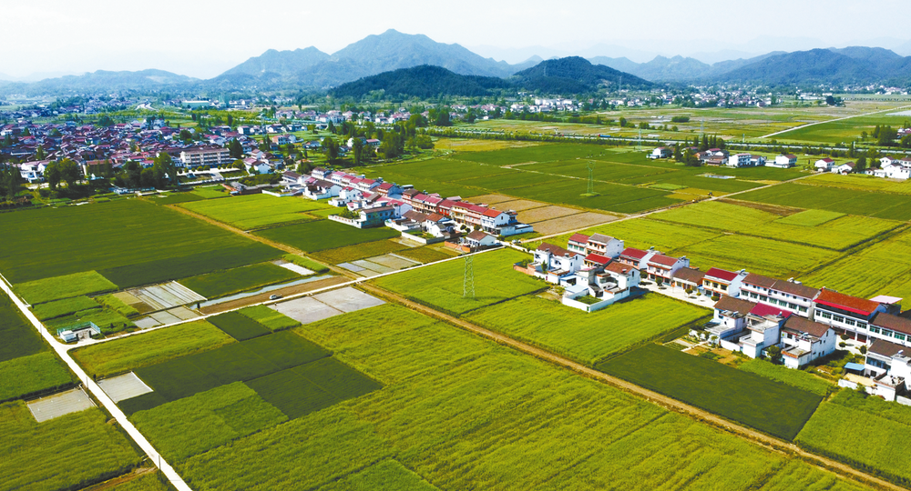 ▲ 南郑区协税镇田园风光美如画。 本报记者 汤江 摄