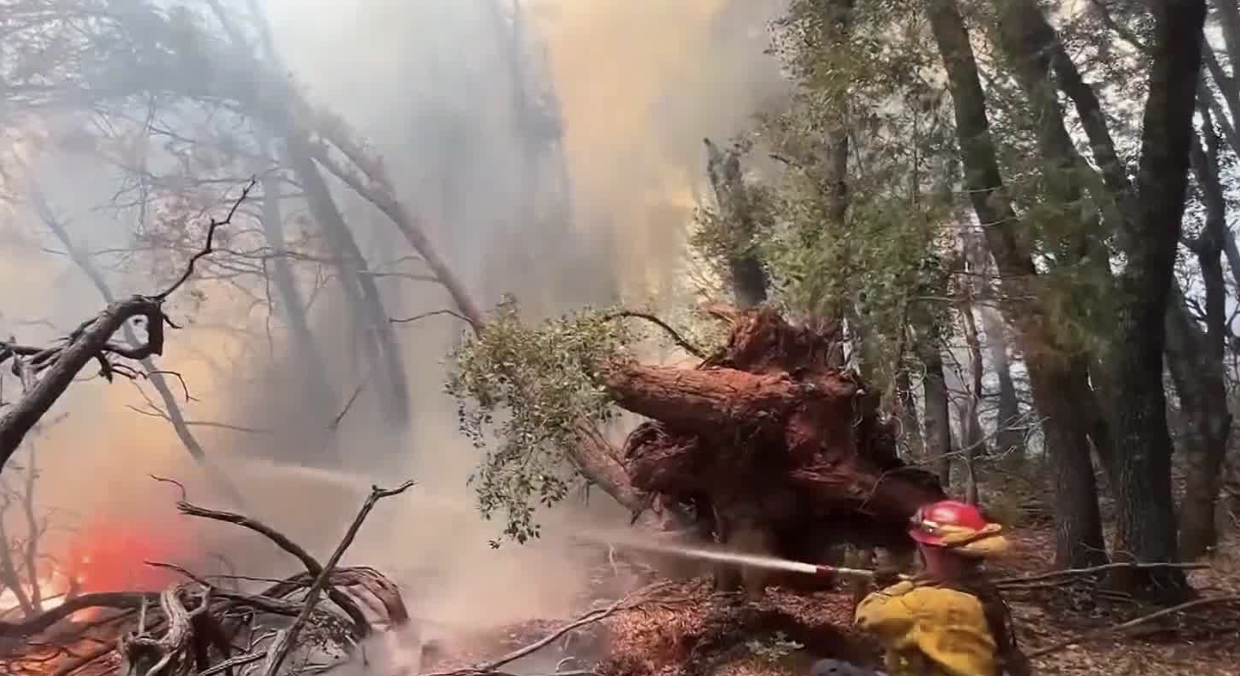 美国西部山火频发 加州多地发布疏散令