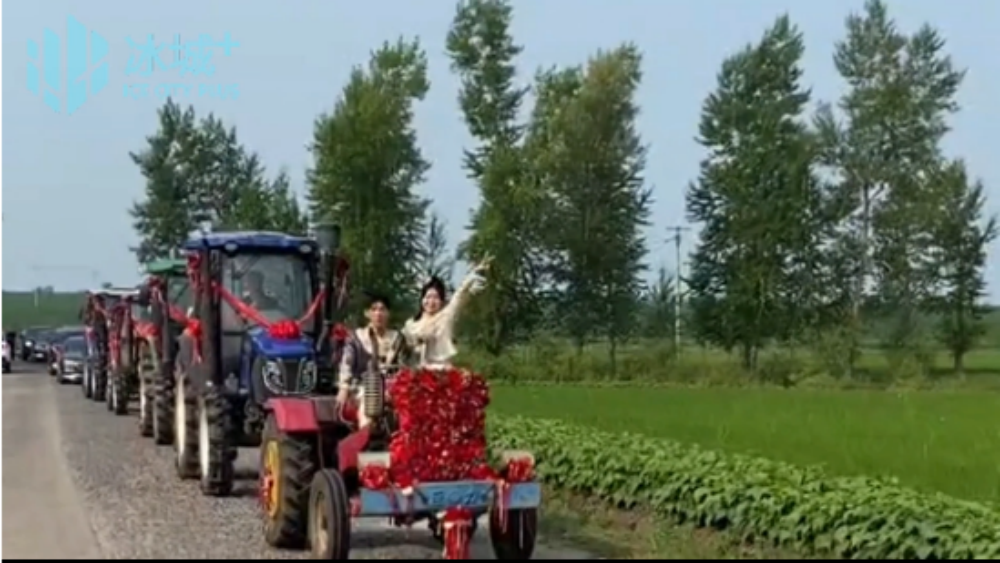 拖拉机上的新娘”惊艳乡里，哈尔滨巴彦小伙开小四轮迎娶兰西姑娘