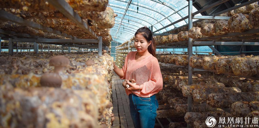 天祝县松山镇农户陈莲在查看菌菇长势　温晨钰　摄