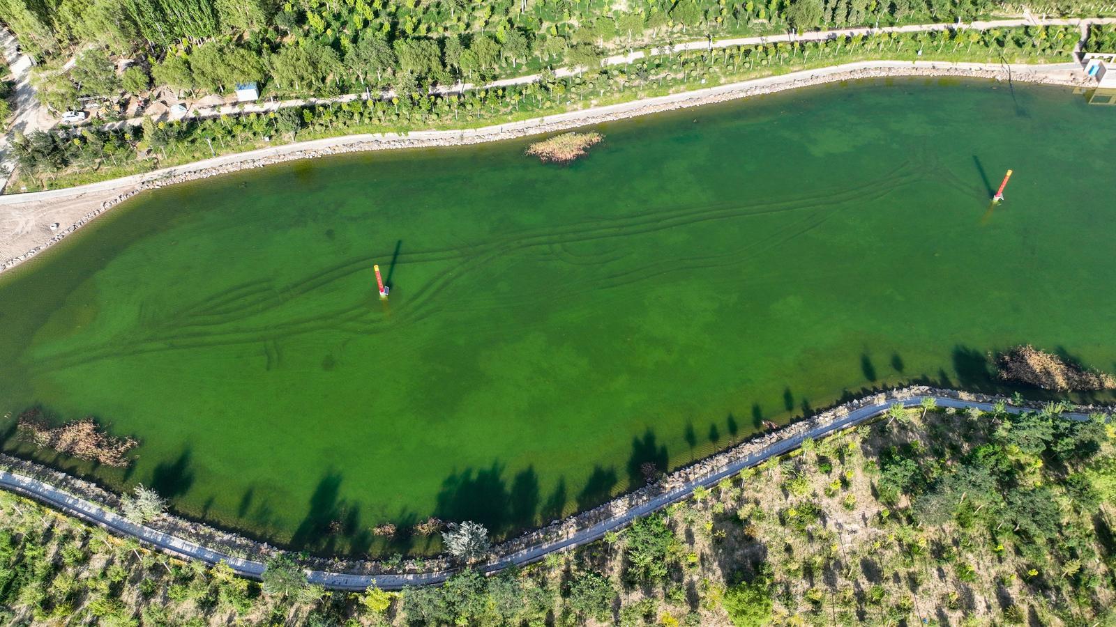 遇见金塔最美戈壁水乡　一眼就心动
