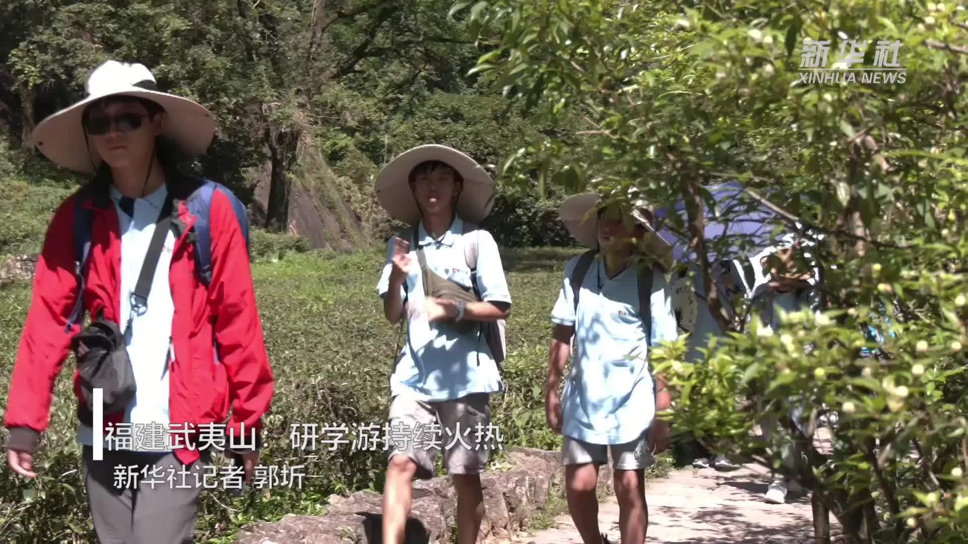 福建武夷山：研学游持续火热