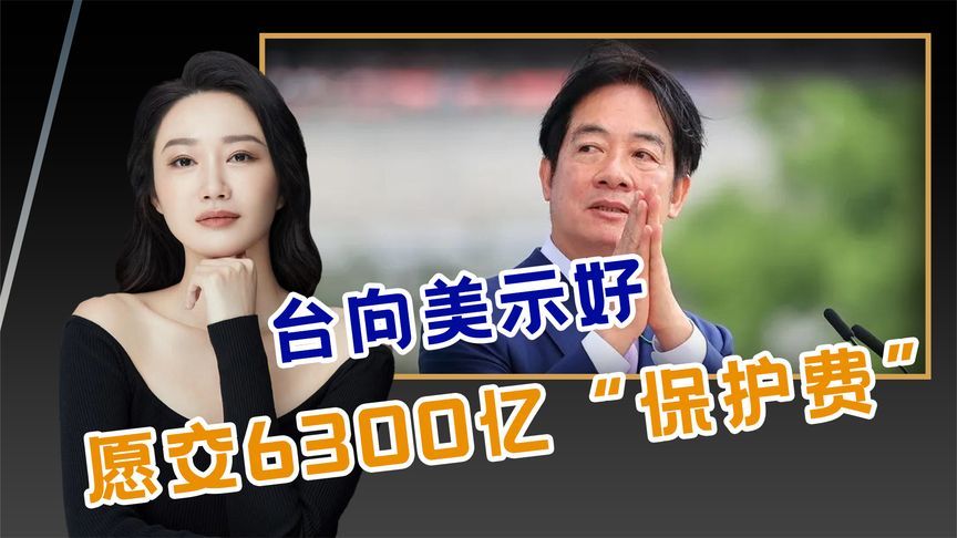 王毅发出统一最强音，不到两天台向美示好，愿交6300亿“保护费”