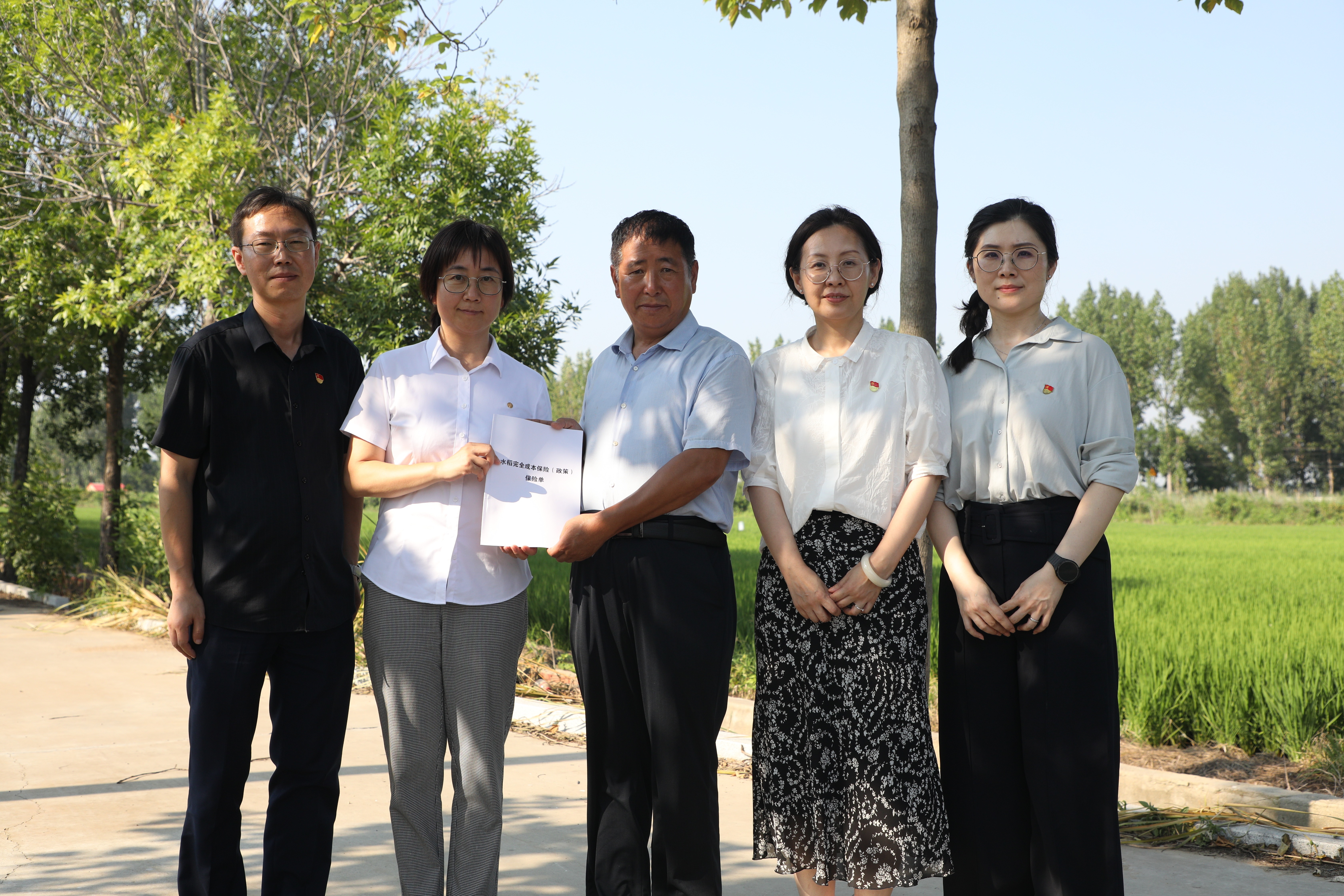 青岛市首单政策性水稻完全成本保险成功落地,促进多层次农业保险发展!