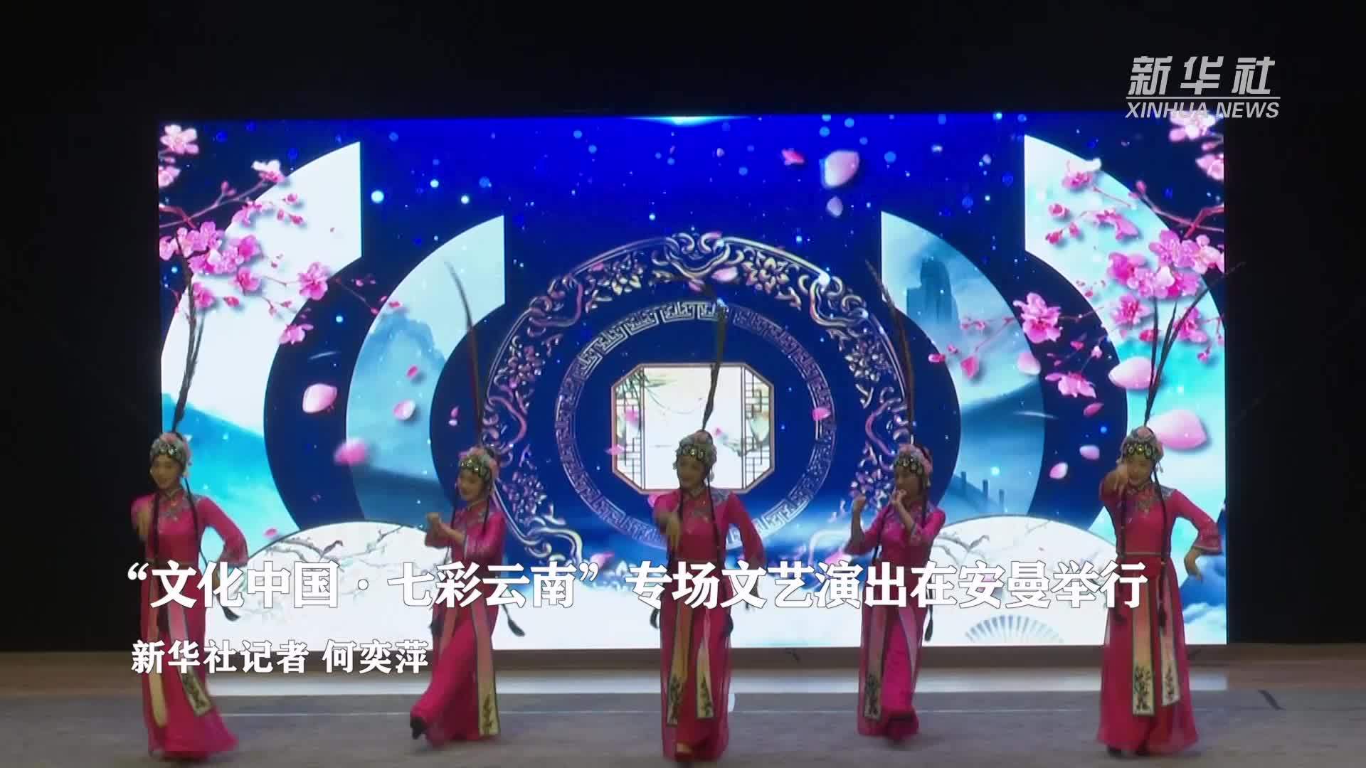 “文化中国·七彩云南”专场文艺演出在安曼举行