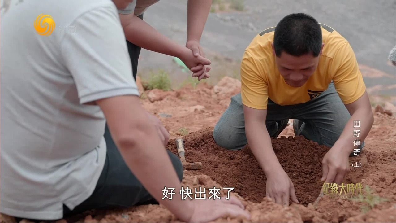 史前的蛛丝马迹极难察觉，一块大型哺乳动物的化石给了考古队惊喜