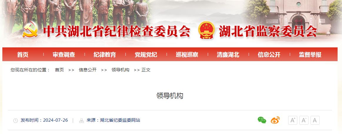 他已任湖北省纪委常委