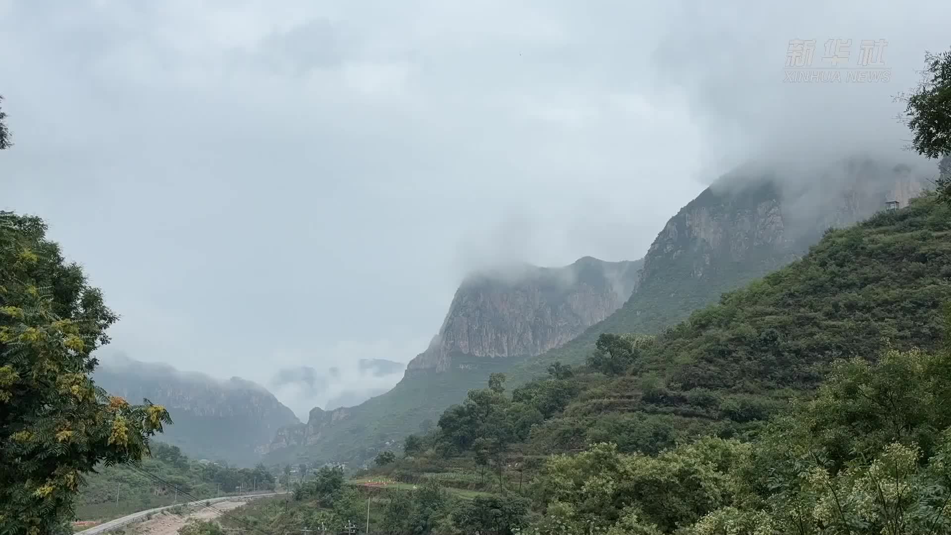 太行山上 逐梦田野的“新农人”