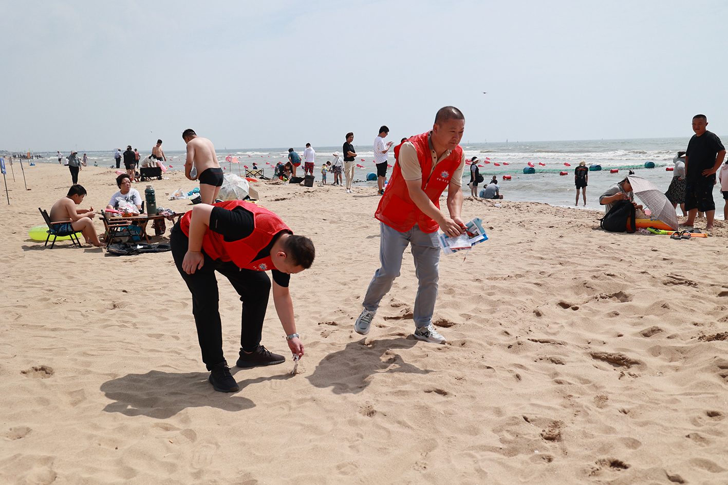 秦皇岛北戴河新区：志愿一“夏” 蔚然成风