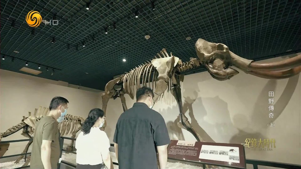 骆驼山存在远古人类吗？考古学家从几十万年的远古开始寻根觅祖