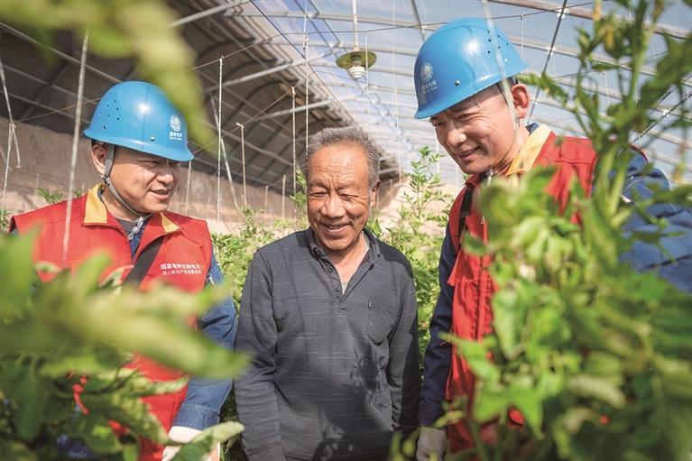 国网供电公司人员对榆中蔬菜大棚用电设施巡检　胡淼山　摄