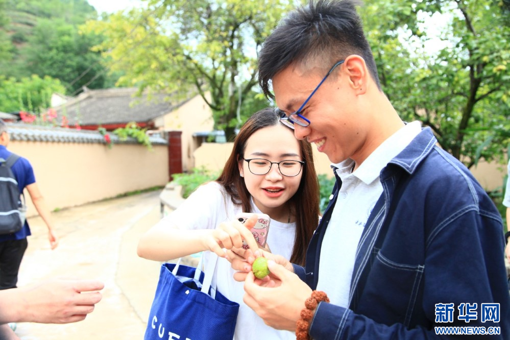 调研团队在宕昌县调研