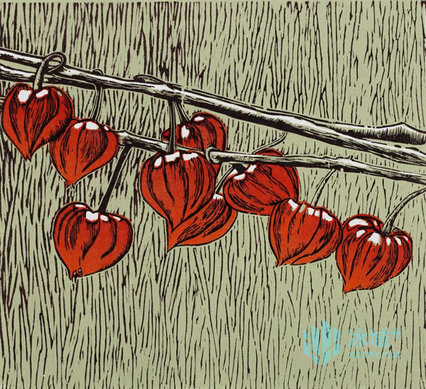 鄂学莉 《红菇娘》 版画