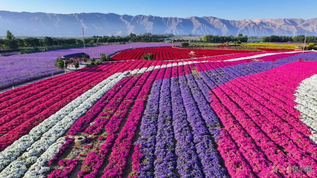 新甘肃&middot;甘肃日报记者　丁凯　摄