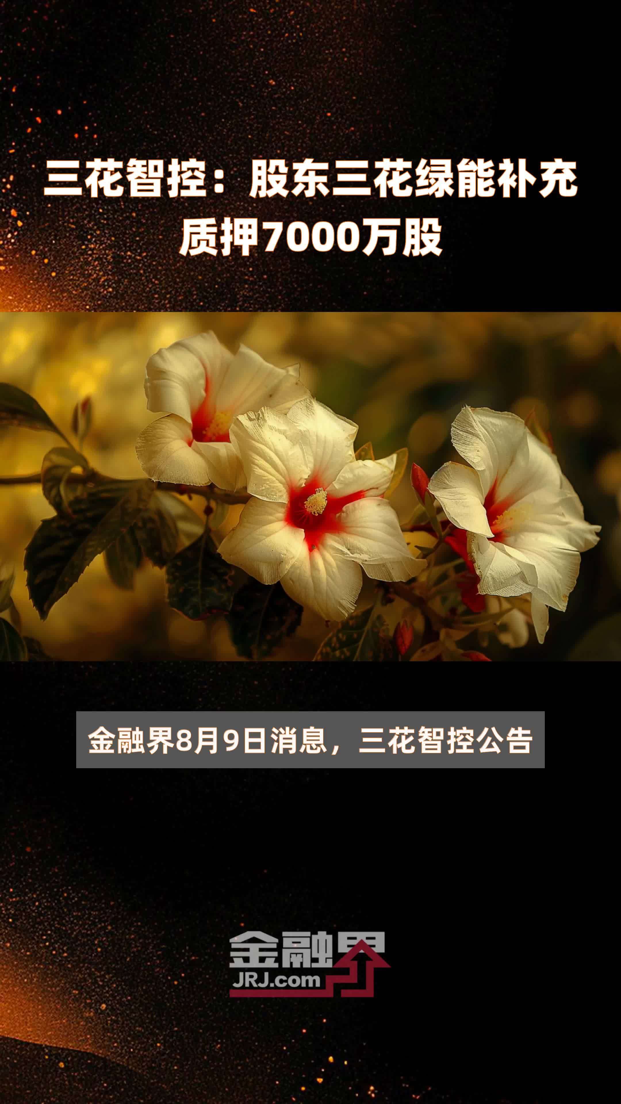 三花智控股东三花绿能补充质押7000万股快报