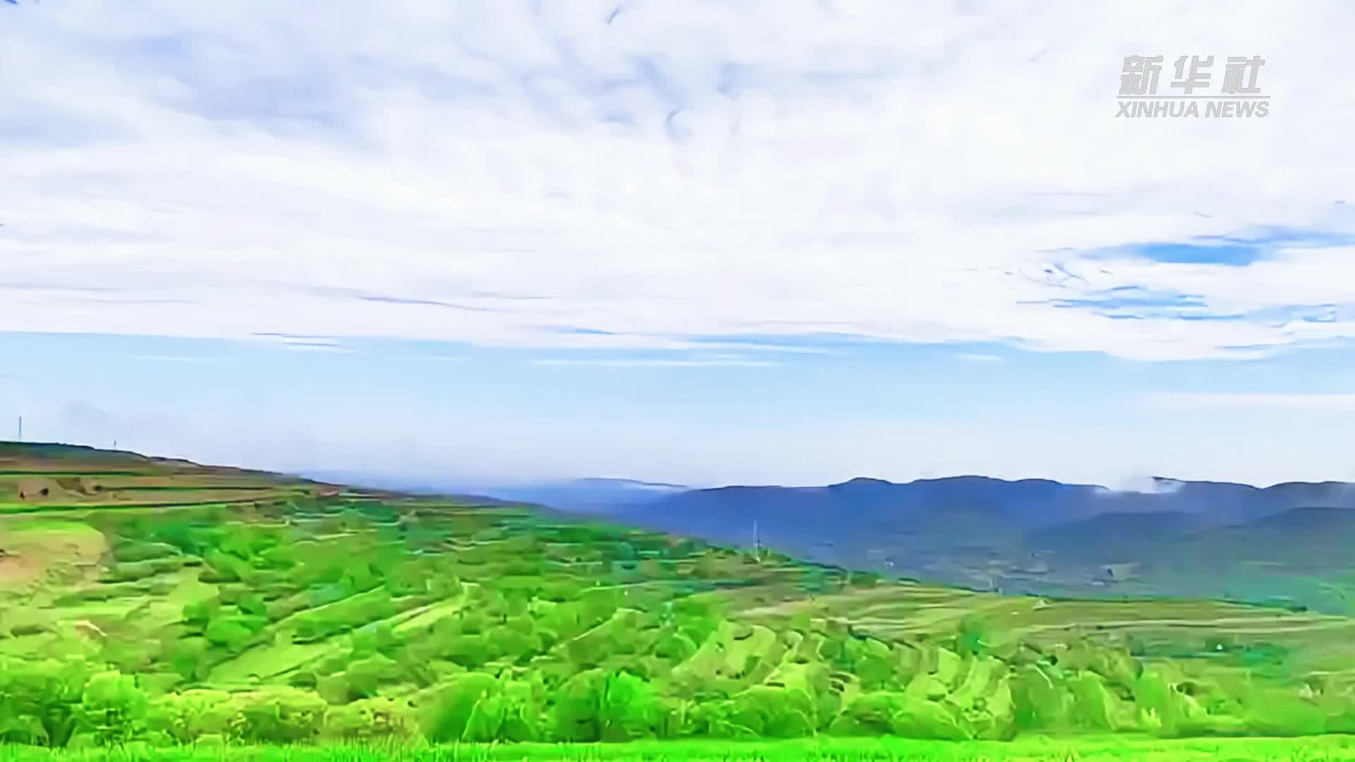 宁夏彭阳：“大地指纹”惊艳四季