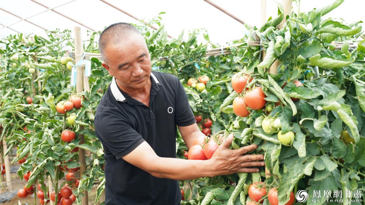 金融活水滴灌下，种植户王福才走上农业产业化之路。