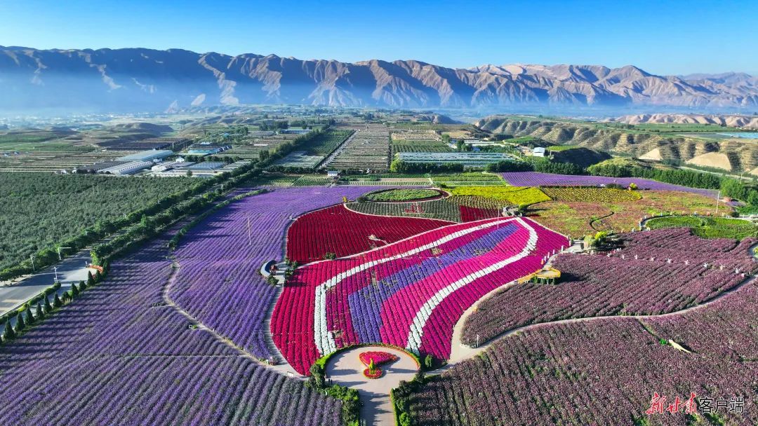 新甘肃&middot;甘肃日报记者　丁凯　摄