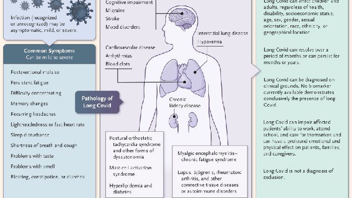 中國人多少歲退休最合適？Nature 子刊最新發文