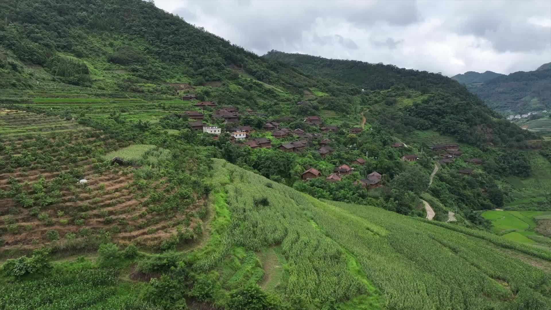 平流屯：守望青山向新生