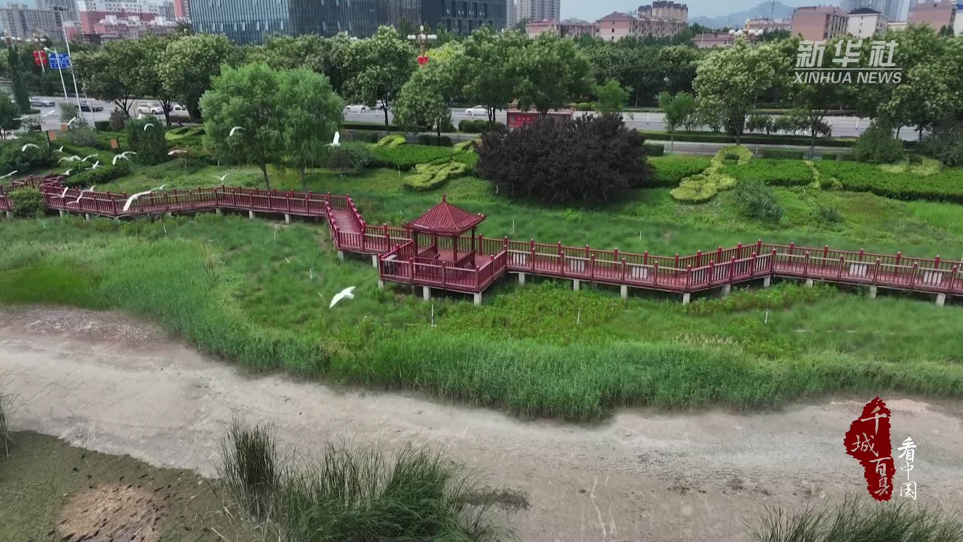 千城百县看中国｜河北鹿泉：水美草丰 白鹭翩跹