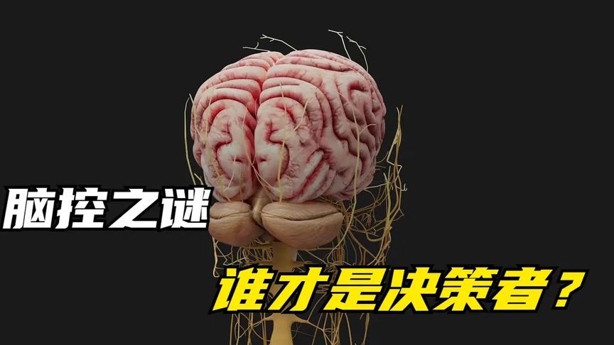 到底是你控制脑子，还是脑子控制你？