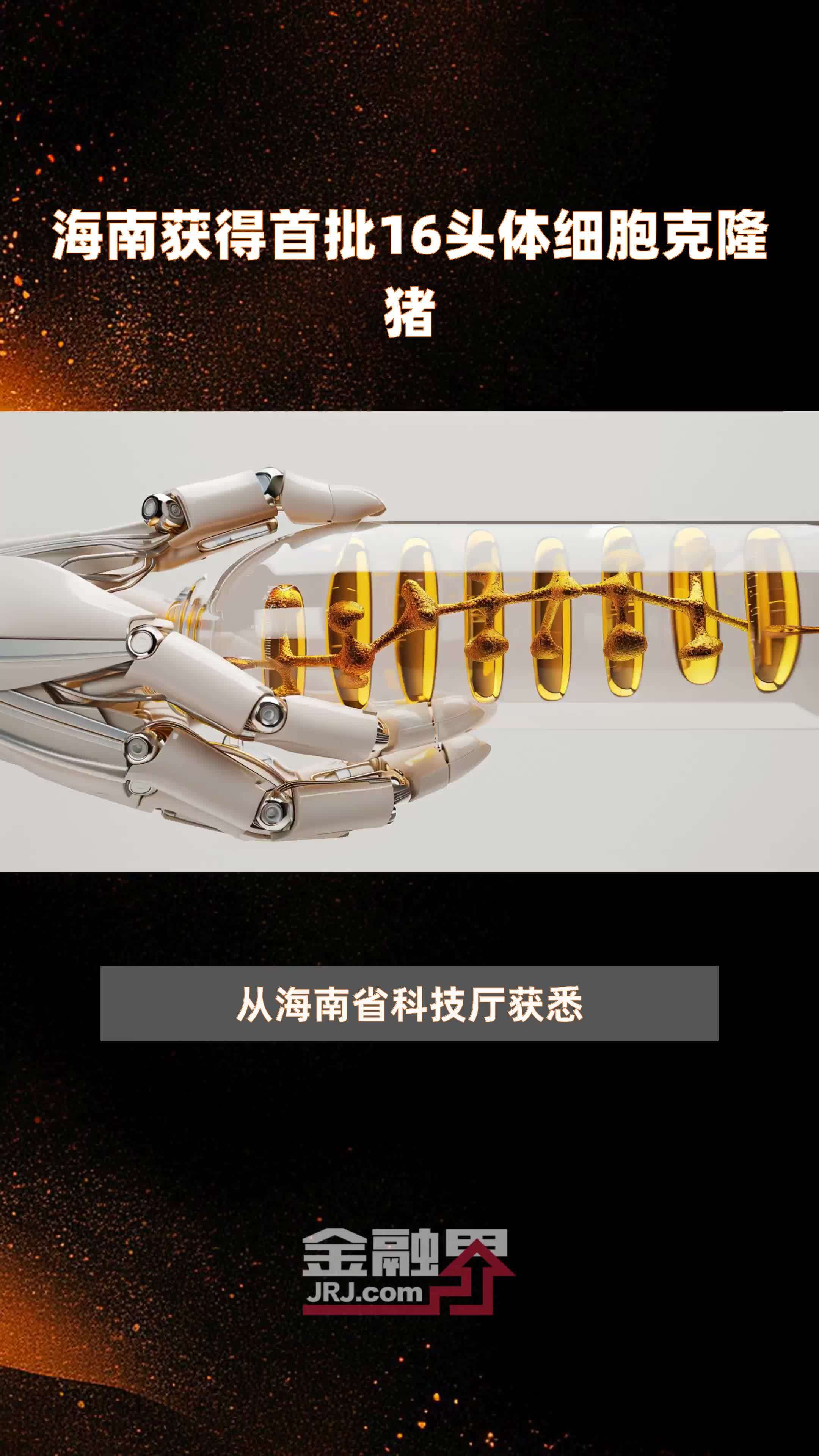 海南获得首批16头体细胞克隆猪 |快报